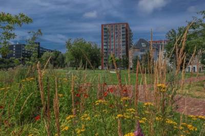 Woning Dankmeijerpad 121 Leiden