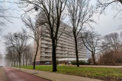 Woning Heiloostraat 31 Den Haag