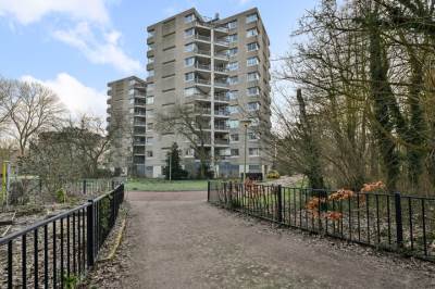 Woning Gouden Leeuw 825 Amsterdam