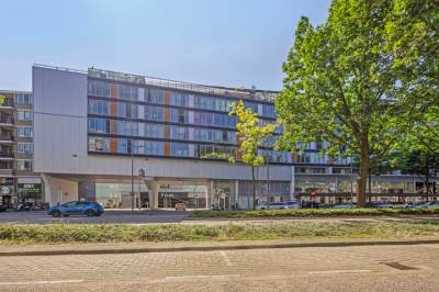 Woning Grote Beer 41 Rotterdam