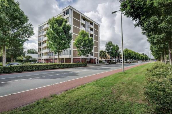 Woning Van Boshuizenstraat 501 Amsterdam