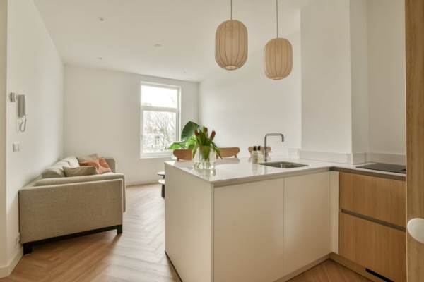 Woning Van Ostadestraat 1664A Amsterdam