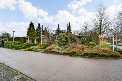 Woning Ranonkel 2 Haelen