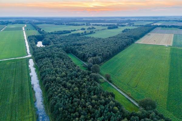 Bouwgrond Scheidingslaan 5 Vriescheloo