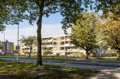 Woning Vredeman de Vriesstraat 22 Rotterdam
