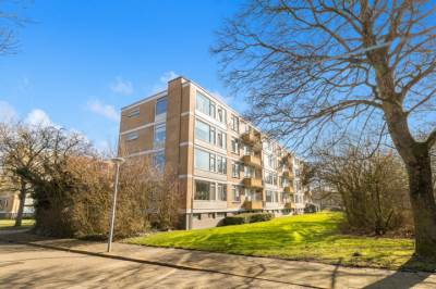 Woning Van Ostadelaan 78 Alkmaar