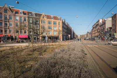 Woning Hugo de Grootplein 181 Amsterdam