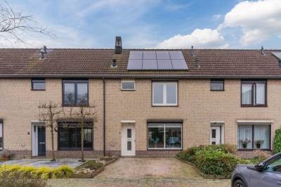 Woning Haagbeuk 6 Best