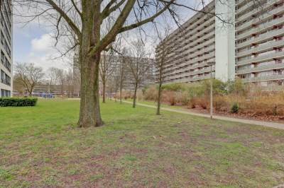 Woning Nieuwendamlaan 274 Den Haag