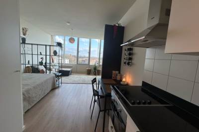 Woning Bos en Lommerplantsoen 101E Amsterdam