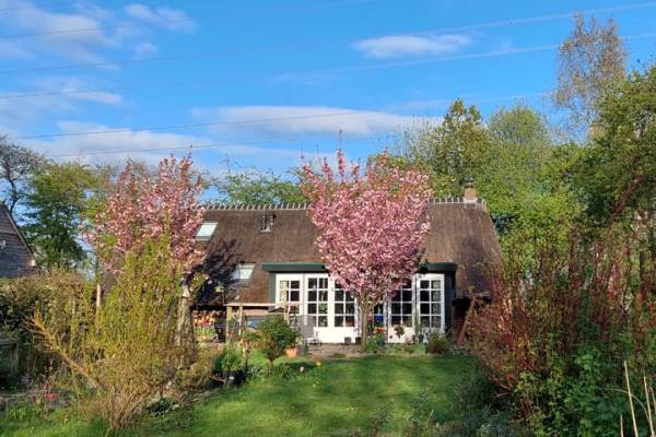 Woning Looveen 22 Wijster