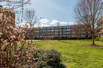 Woning Plotinusstraat 18 Rotterdam