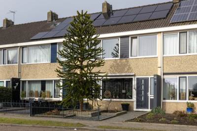 Woning Boekweitstrjitte 16 Harkema