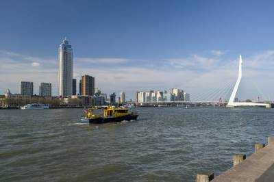 Woning Houtlaan 425 Rotterdam