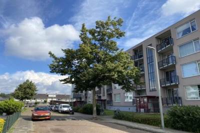 Woning Banckertstraat 78 Dordrecht