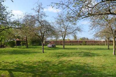 Bouwgrond Biezenakker 43 Ulft