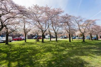 Woning Pallas 23 Hoogezand