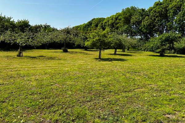 Woning Nijendijk 5B Cothen