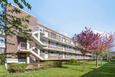 Woning Paltroklaan 101 Rotterdam