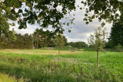 Bouwgrond Molenkampseweg 12 Best