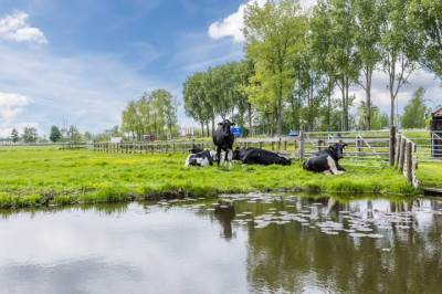 Woning Leeghwaterweg 20A Zaandam