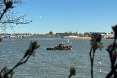 Woning Vegastraat 15 Rotterdam