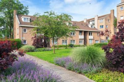 Woning P.C. Boutensstraat 29 Haarlem