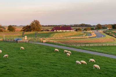 Woning Grândyk 9 Holwert