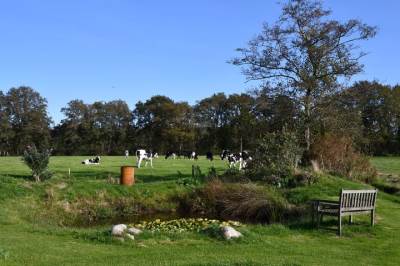 Woning Zuiderhoeksweg 8 Nuis