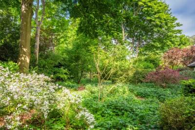 Bouwgrond Huismansweg 11bouwkavel Schoorl