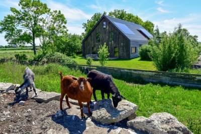 Woning Bloemendalergouw 51B Amsterdam