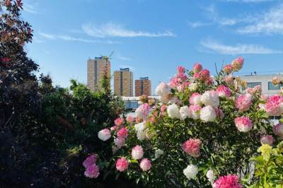 Woning Speedwellstraat 338 Rotterdam