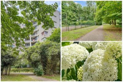 Woning Groenhoven 449 Amsterdam