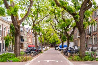 Woning Blommersdijkselaan 38A Rotterdam