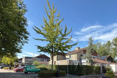 Woning Kalander 44 Wormer