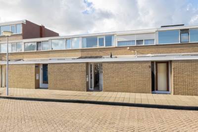 Woning Clematis 9 Monster