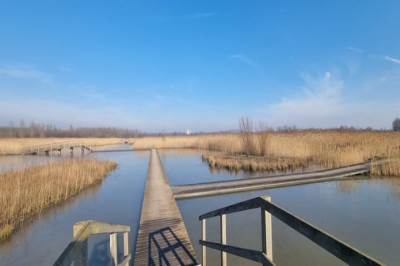 Woning Landgraafstraat 74 Arnhem