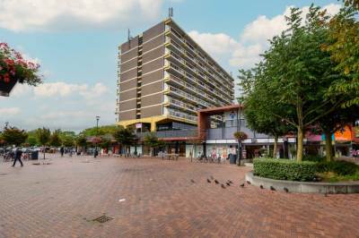 Woning Vijf Meilaan 142 Leiden