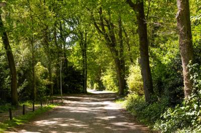 Bouwgrond Werkdroger 10 Laren (NH)