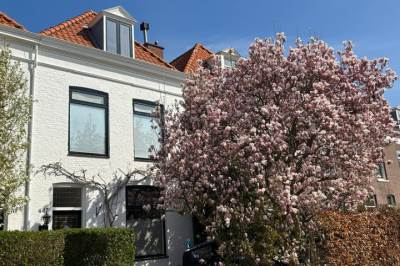 Woning Waldeck Pyrmontkade 447 Den Haag