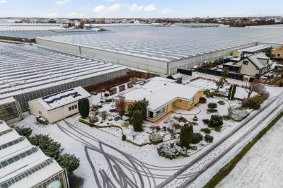 Woning Alsemgeestlaan 7 's-Gravenzande