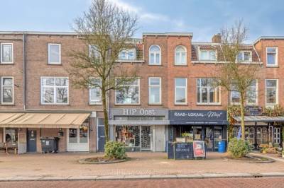 Woning Adriaen van Ostadelaan 63A Utrecht