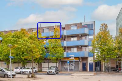 Woning Korenbloem 101 Zwaag