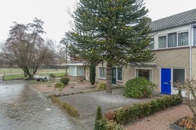 Woning Witte de Withstraat 48 Helmond