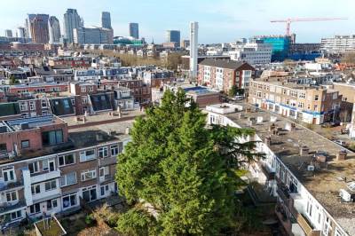 Woning Juliana van Stolberglaan 183 Den Haag