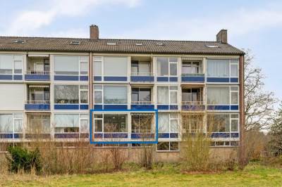 Woning Vogelplantsoen 155 Dieren