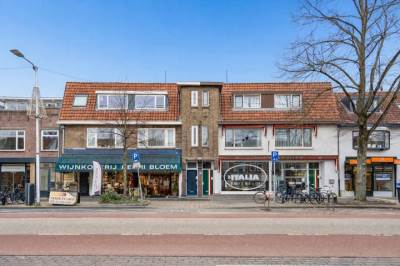Woning Adriaen van Ostadelaan 12C Utrecht
