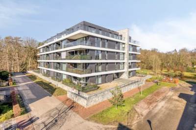 Woning Lisdodde 15203 Boxtel