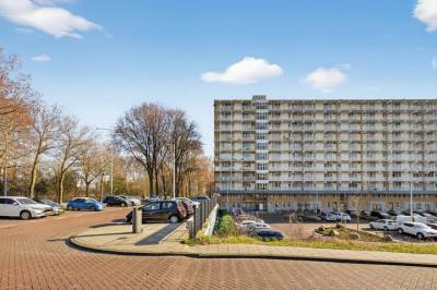 Woning Hofgeest 32 Amsterdam