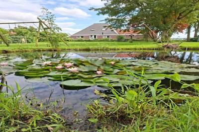 Woning Bandsloot 25 Bantega